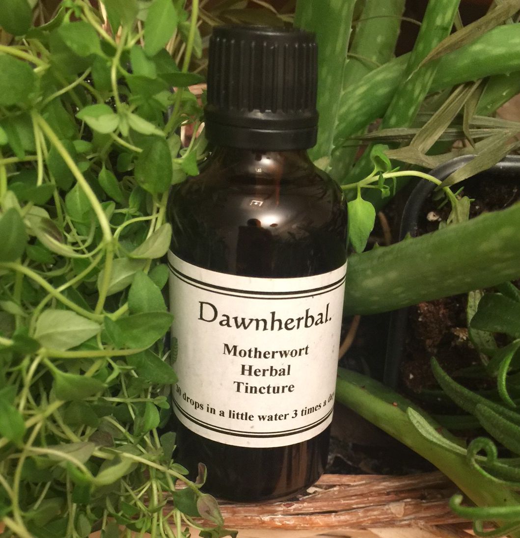 Motherwort Tincture 50ml 1 Motherwort Tincture 50ml