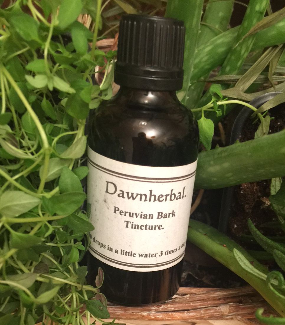 Peruvian Bark Tincture 50ml 1 Peruvian Bark Tincture 50ml