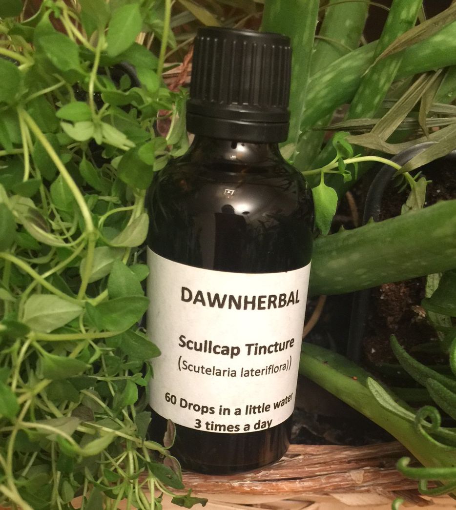 Skullcap Tincture 50ml 1 Skullcap Tincture 50ml