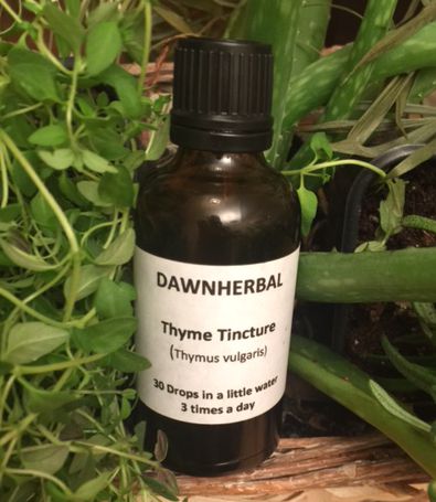 Thyme Tincture 50ml 1 Thyme Tincture 50ml