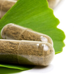 Billberry Powder 50gr